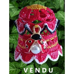 Dé de collection coccinelle...